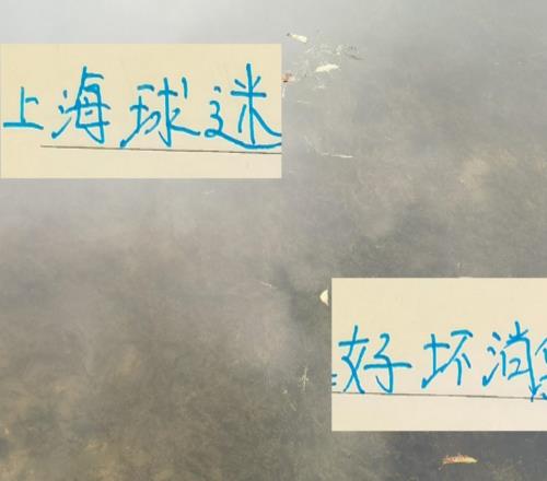 壞消息！每次間歇期北京國安都出問題好消息能給足協(xié)杯攢經(jīng)驗(yàn)值