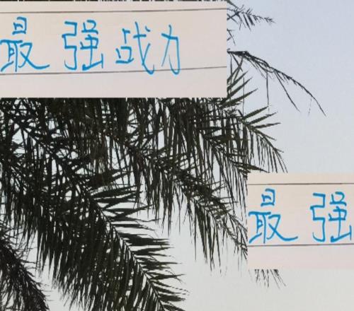 最強(qiáng)戰(zhàn)力都在包廂情況下！申花進(jìn)攻和防守都排第二前俄教練厲害